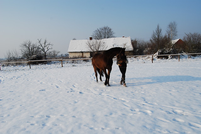 Zapakowy ^__^
