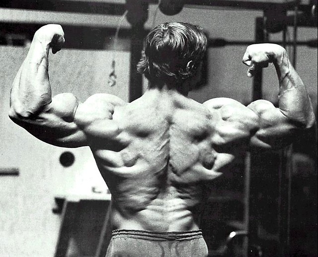 Bicepsy tyem -A. Schwarzenegger