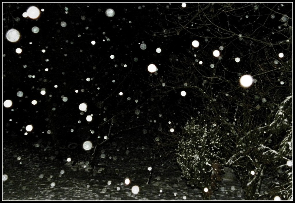 Winter.