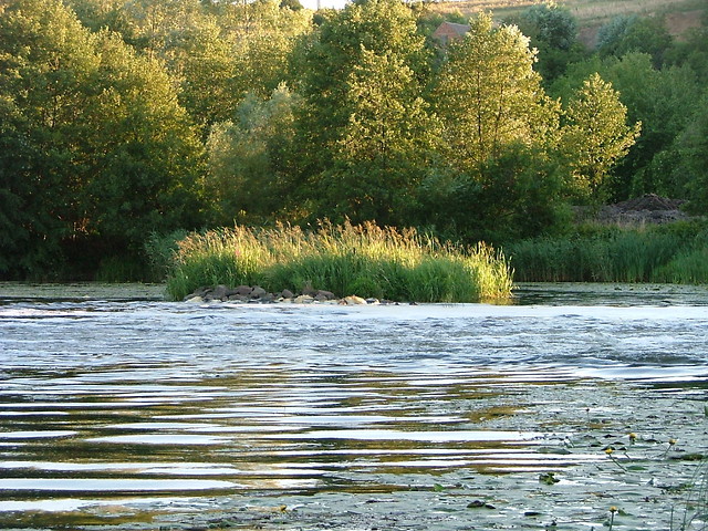 Natura