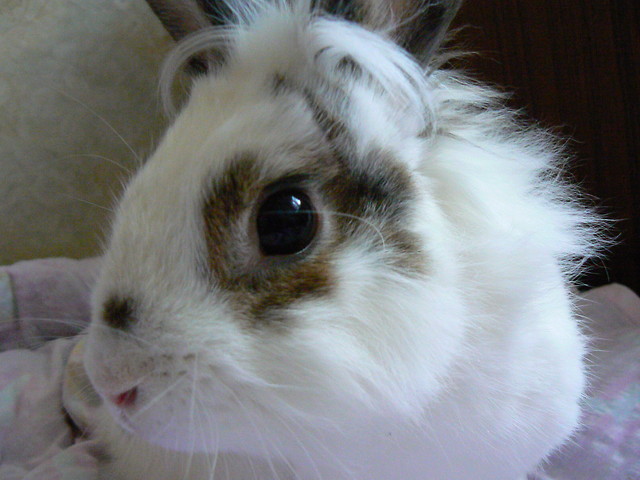 Filip;*