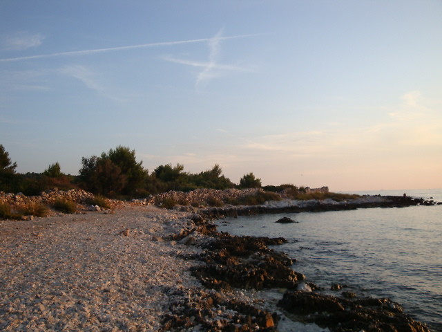 Zima