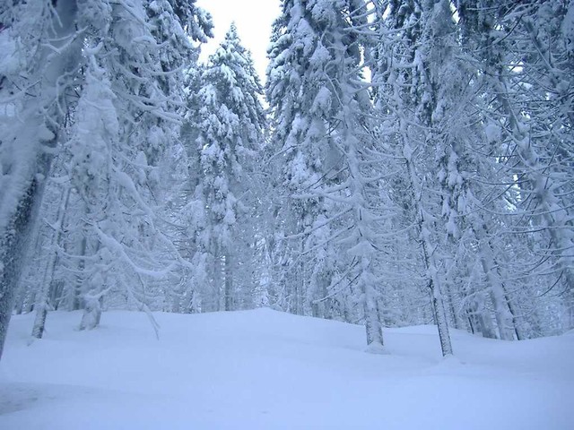 Zima.