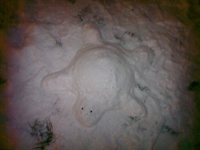 niegow. xd