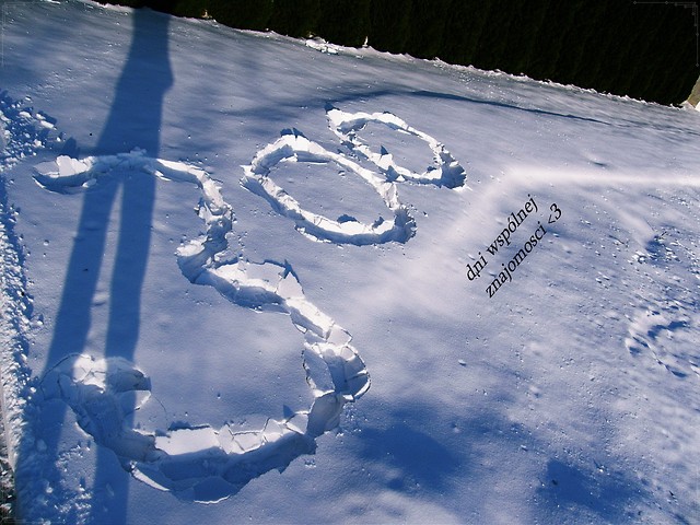 3oo ;*