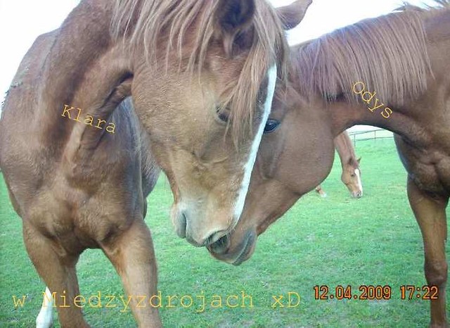 :***
