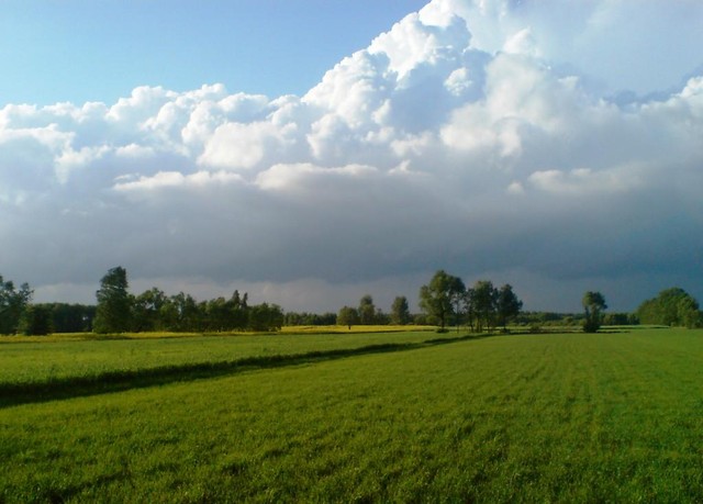 pierwszy raz.`