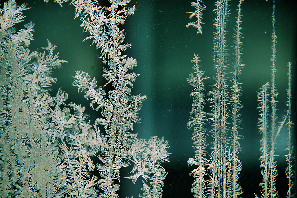 White xmas