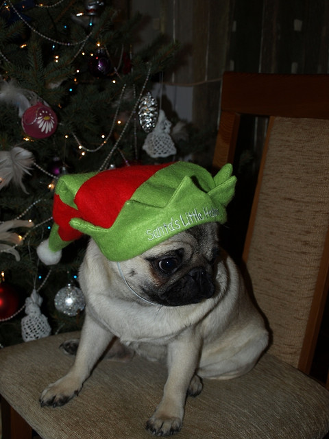 Santa's Little Helper :D