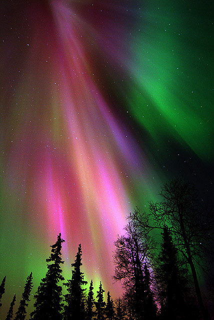 Dream about my Honey... ;***