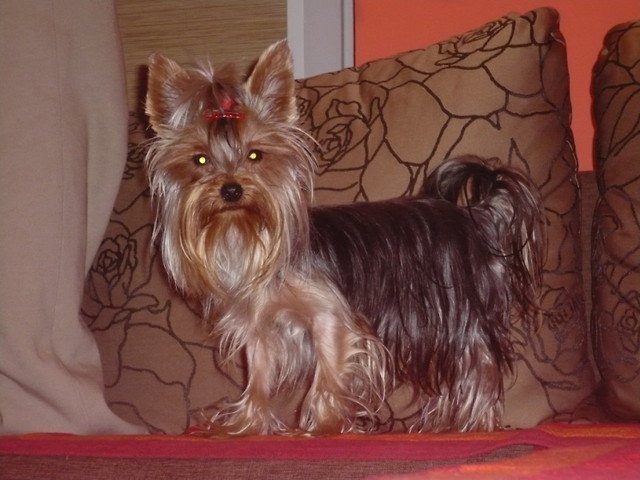 Almira