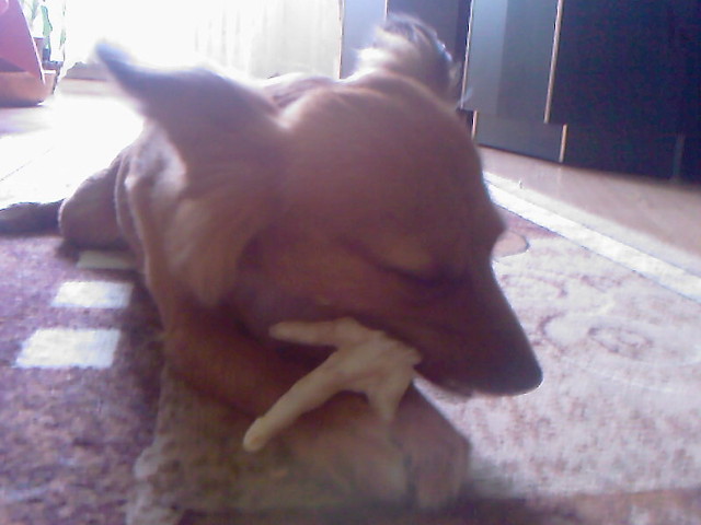 Lucy