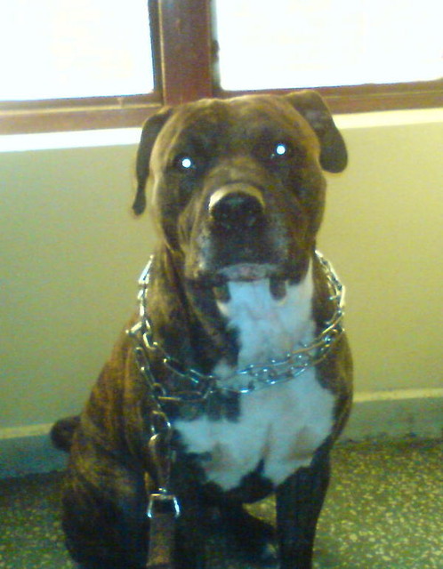 Max :)