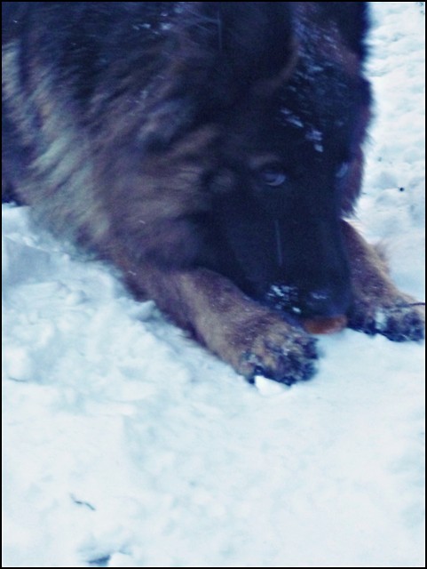 Blann.;*