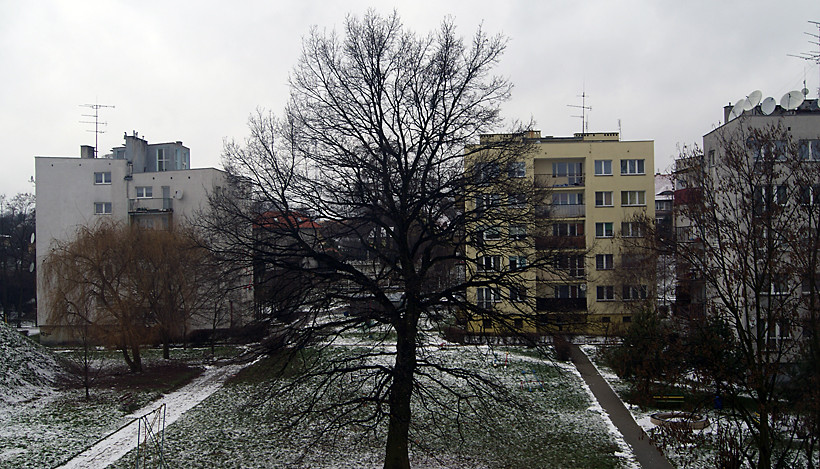 Widok zza okna