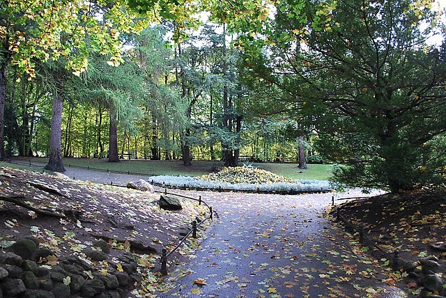 Park Oliwski