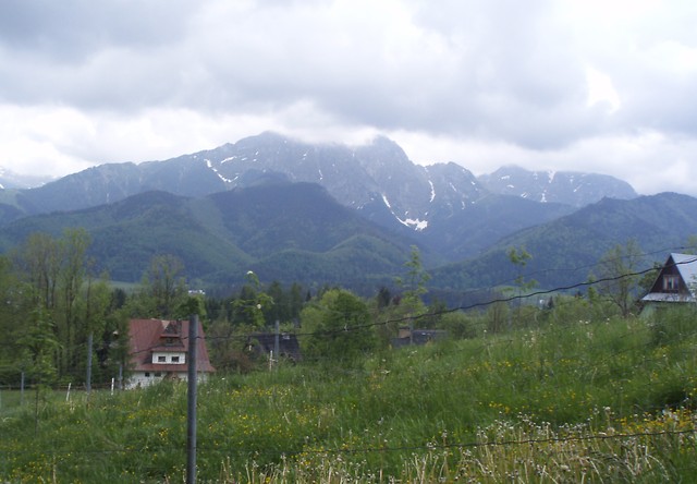 maj