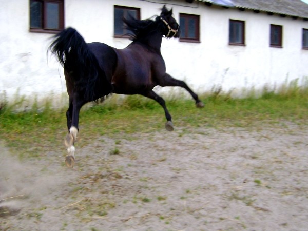ubki 08