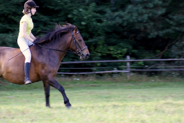 Canter.