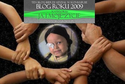 BLOG ROKU 2009