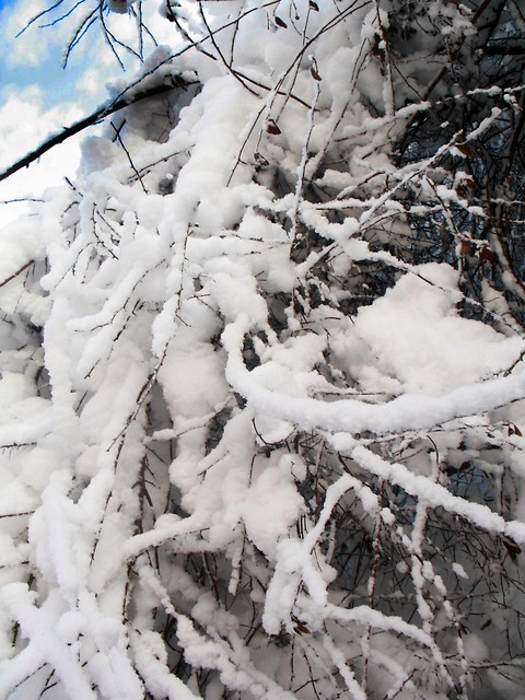 Nanozgon.