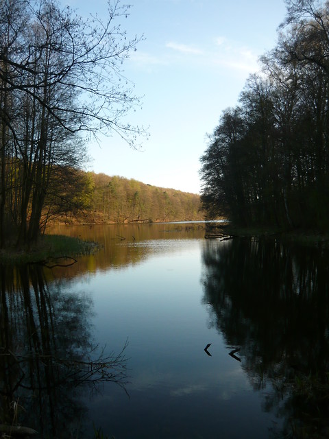 pierwsze-lepsze