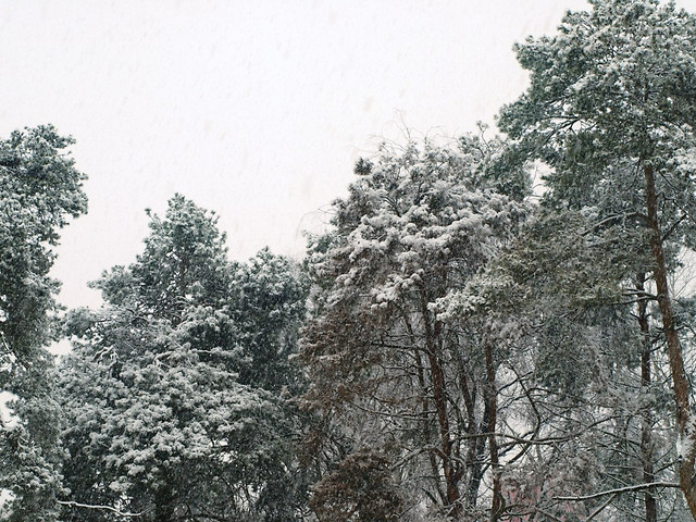 Zima.