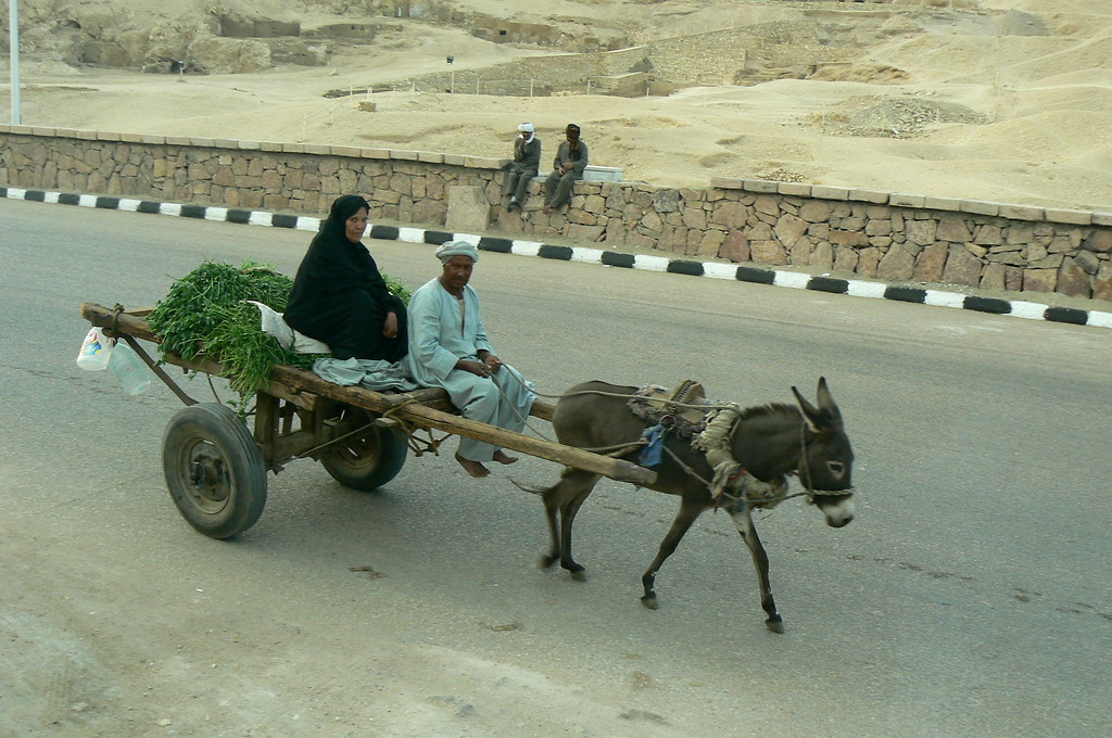 Luxor