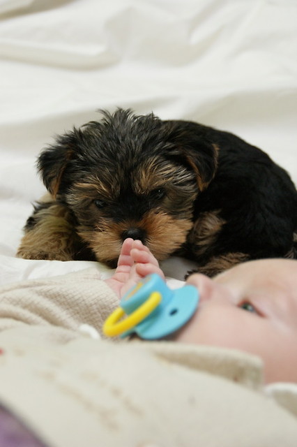Dolly&Oskar