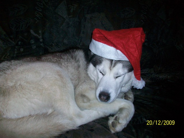 RAXI