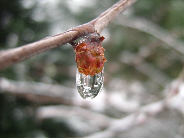 # 333.
