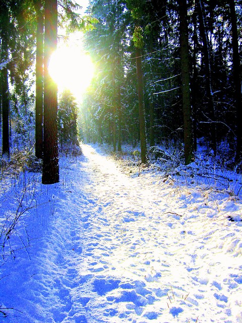 New path.