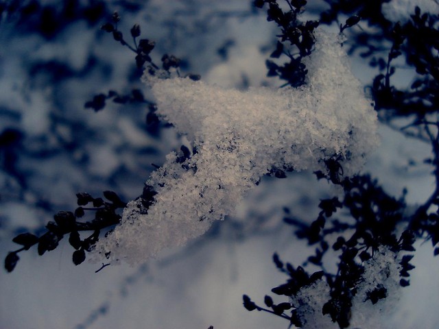 Nowy rok.