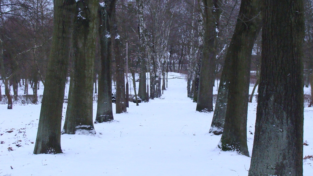 Path
