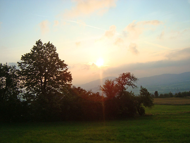 Boj si.