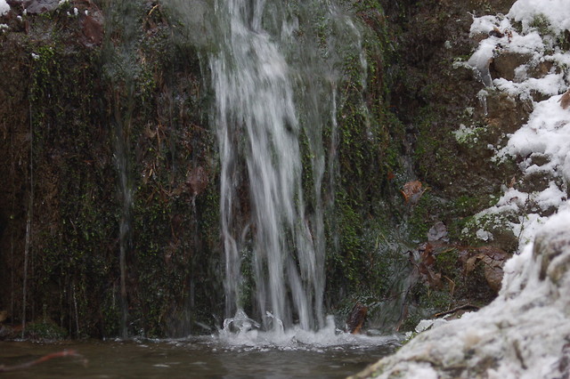 03 01 2010 Bolechowice