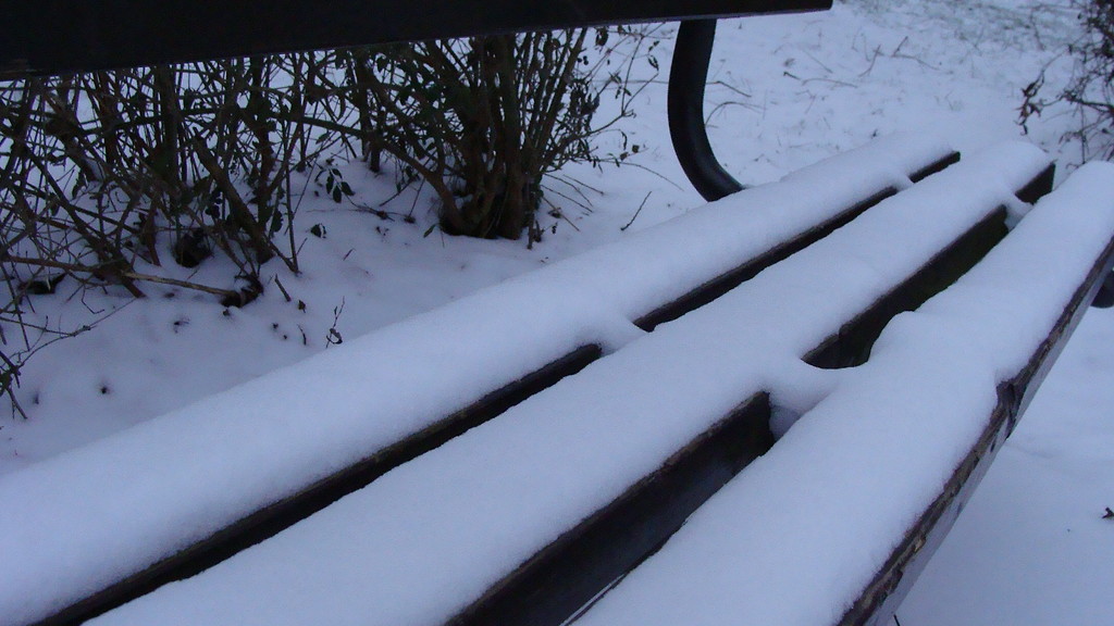 Bench