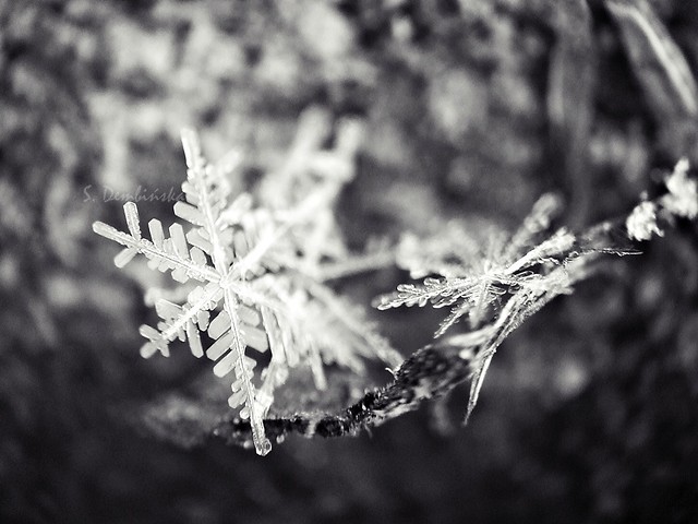 Snow