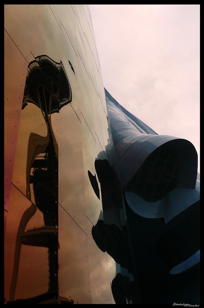 EXPERIENCE MUSIC PROJECT + SN