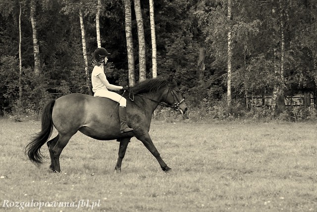 Last canter....