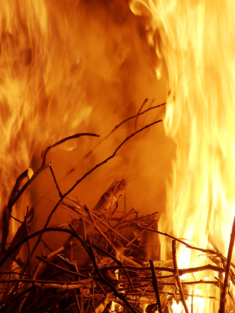 sex on fire