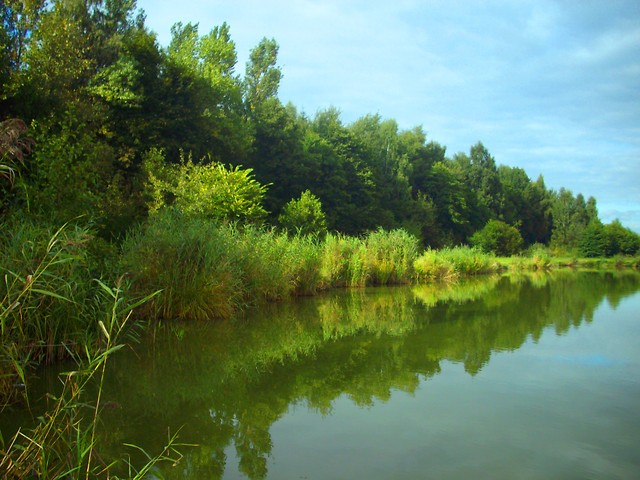 greeen