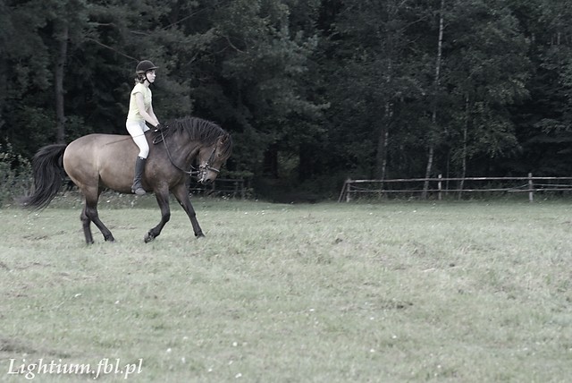 Rollkur? xD'