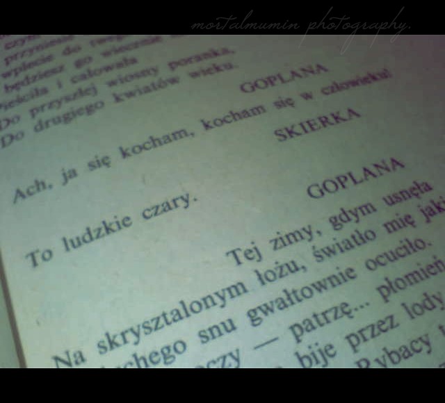 ;lsjt's