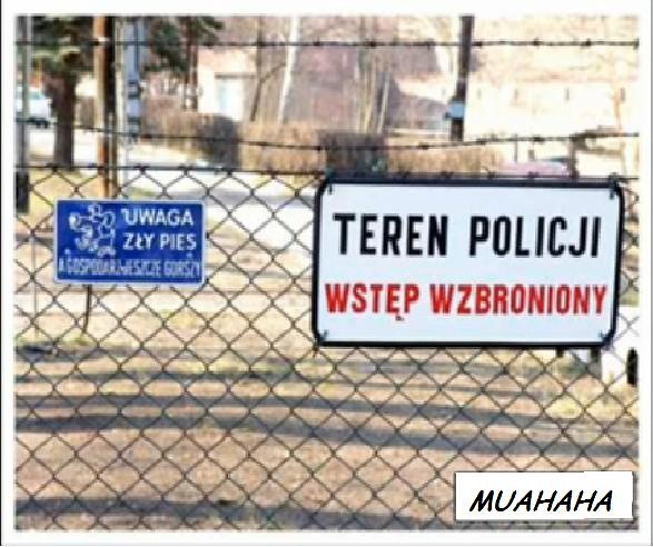 POLICE 997