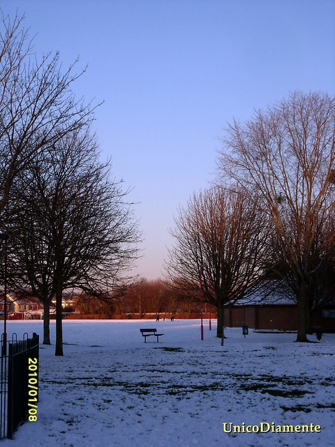 Zima