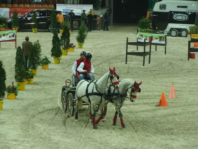 Spodek 2009
