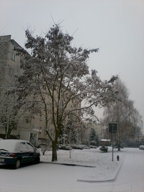 ZIMOWE
