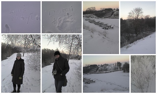 Krtko... xp