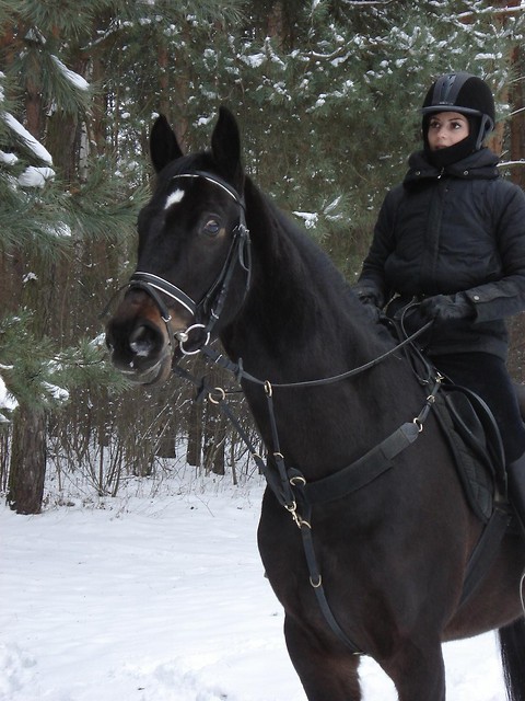 czort:*